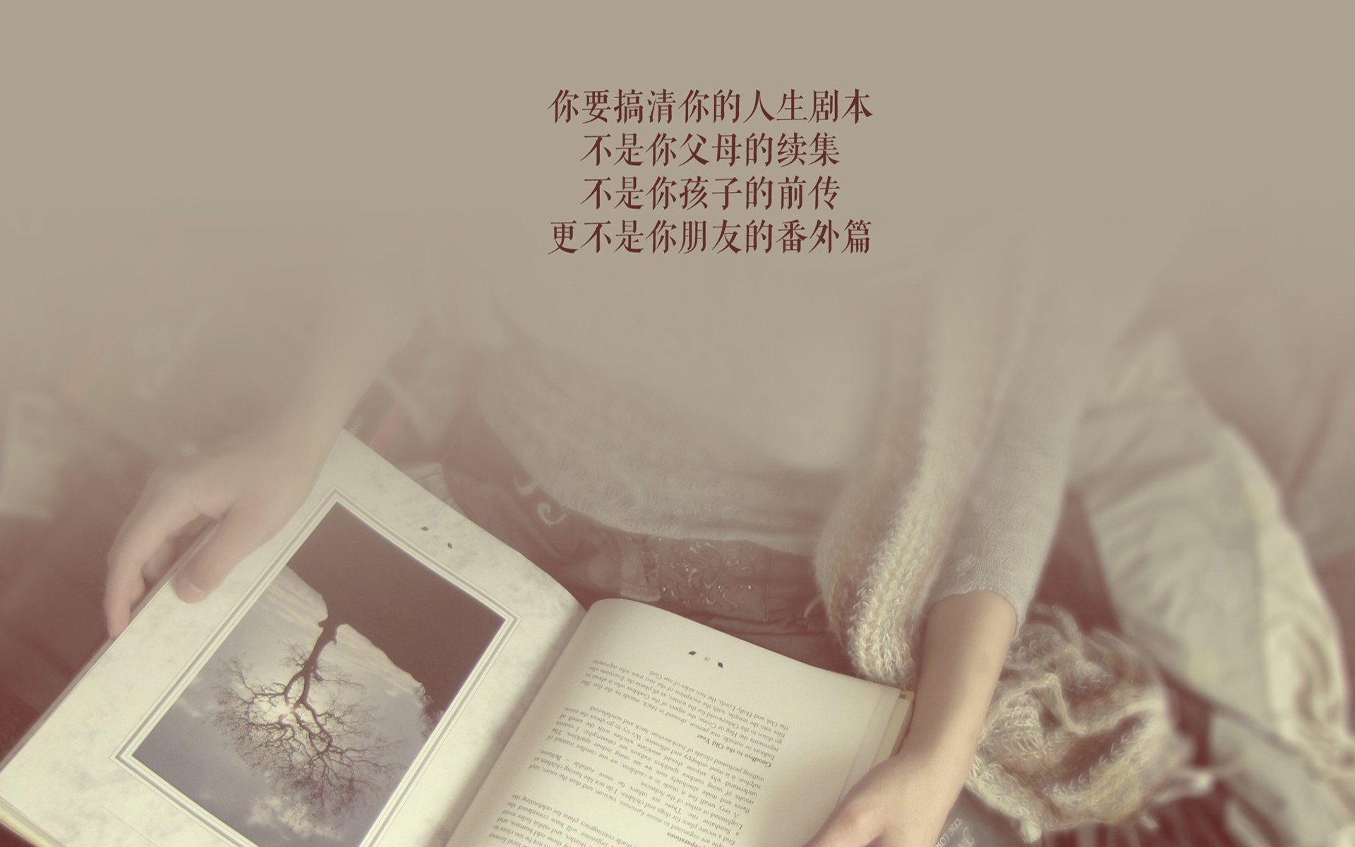 “中国女足在亚洲杯中摘冠，创造历史新高”，女足获得亚军