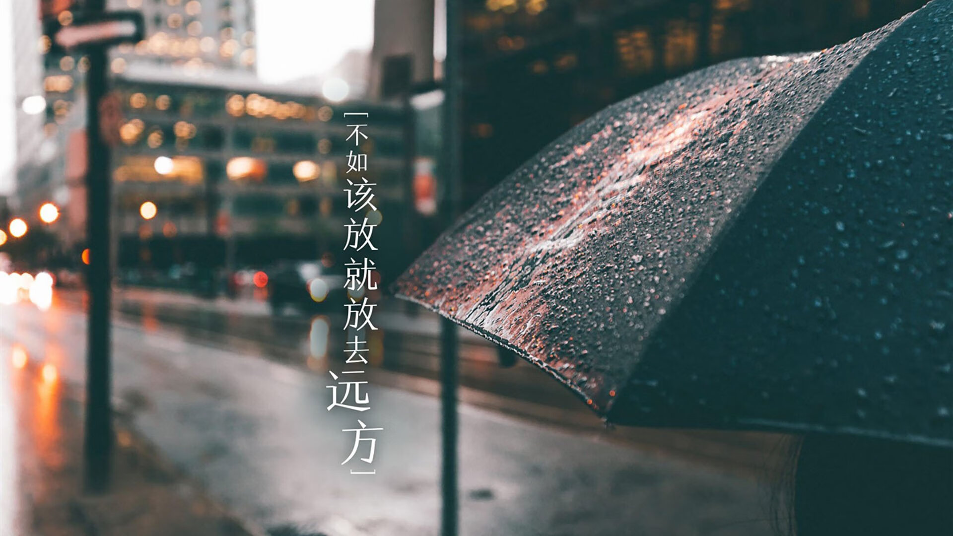 全民健身嘉年华：全民参与的健康狂欢，全民健身展示