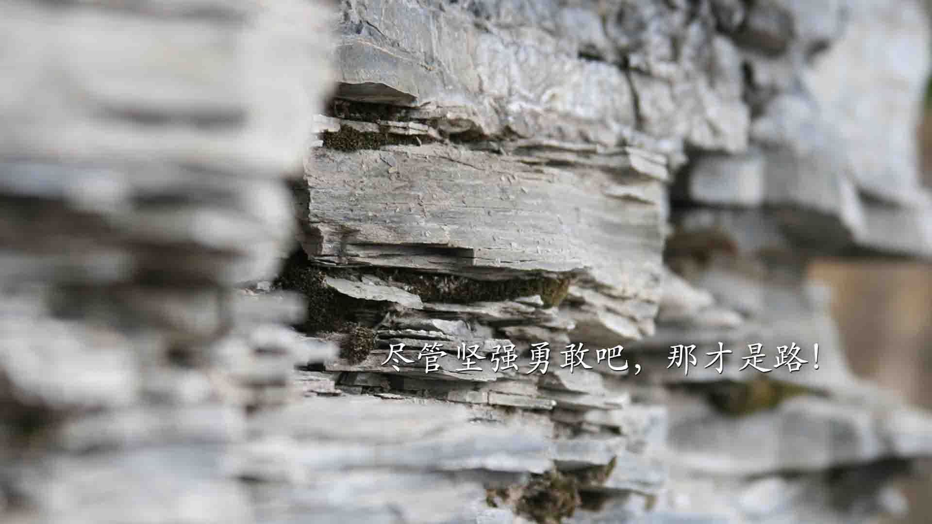 国际赛事门票二次发售平台启动，防黄牛技术升级