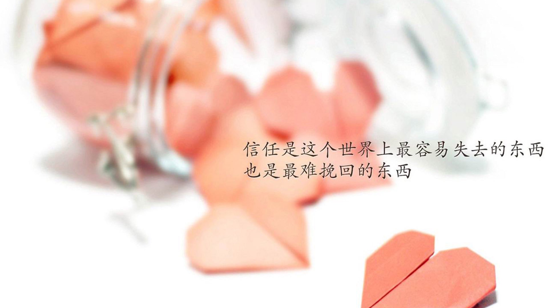 骑士发布球员故事片记录成长历程，骑士全部球员